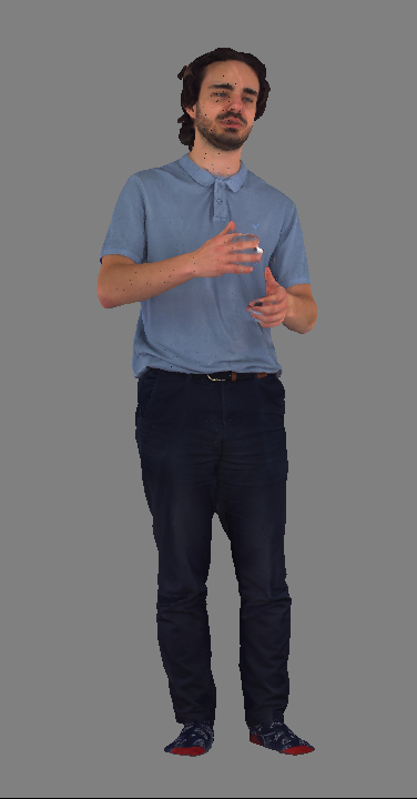 BlueSpeech high-end capture system