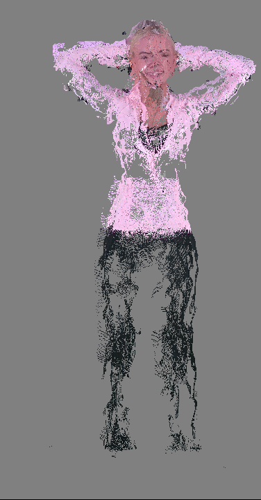 FitFluencer consumer-grade capture system