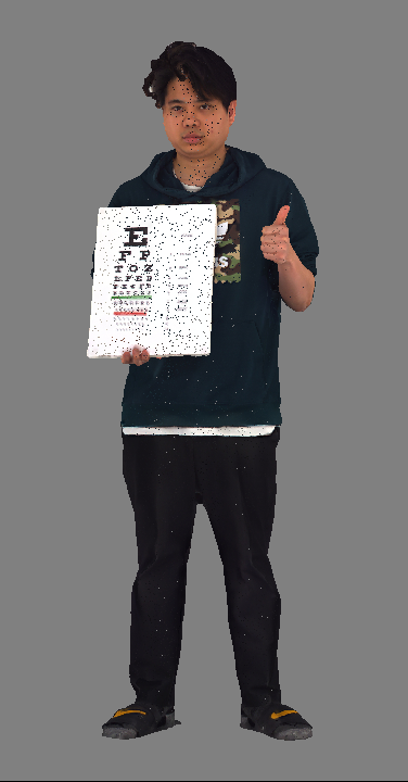 GoodVision high-end capture system