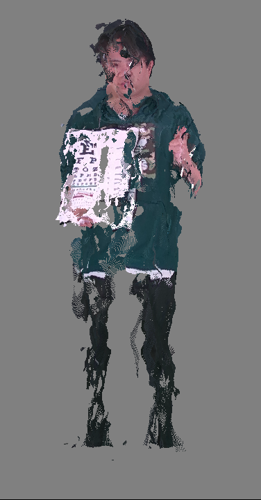 GoodVision consumer-grade capture system