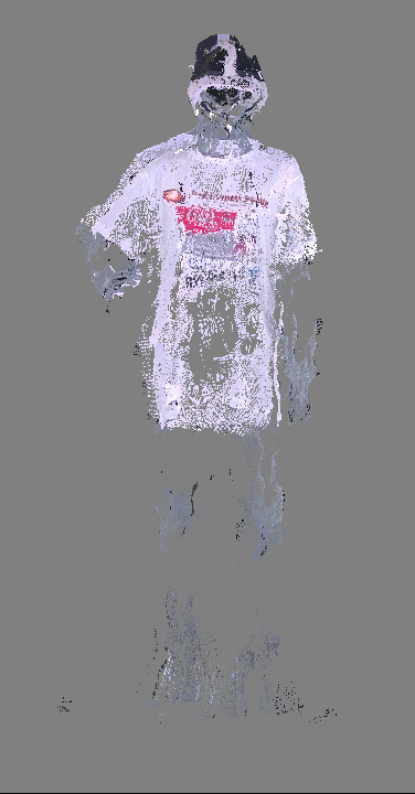 Mannequin consumer-grade capture system