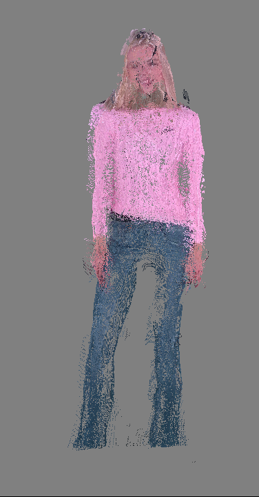 VictoryHeart consumer-grade capture system