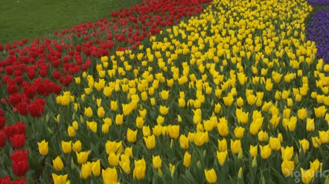 FlowerPan