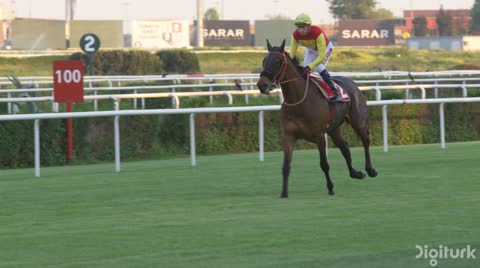 Jockey