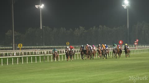 RaceNight